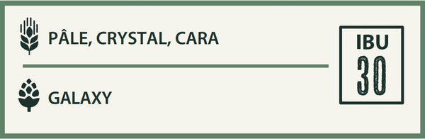 Organic Session IPA - 24 x 355ml