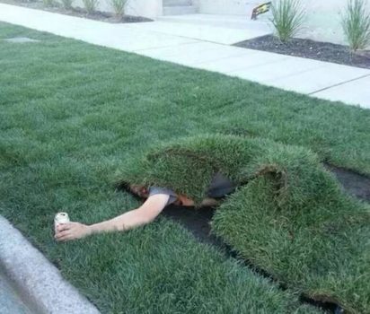 I FOUGHT THE LAWN AND THE LAWN WON
